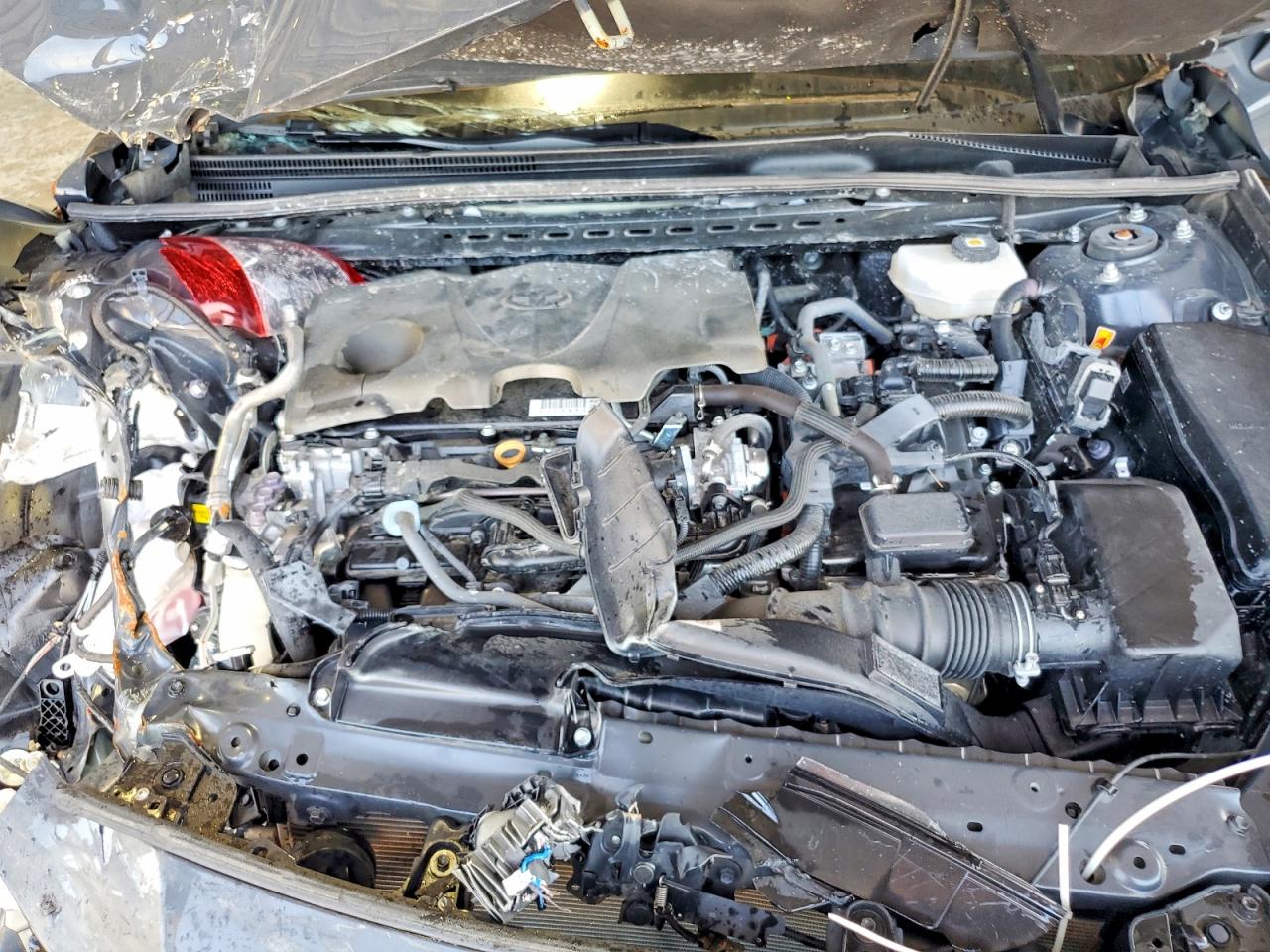 2025 TOYOTA CAMRY
