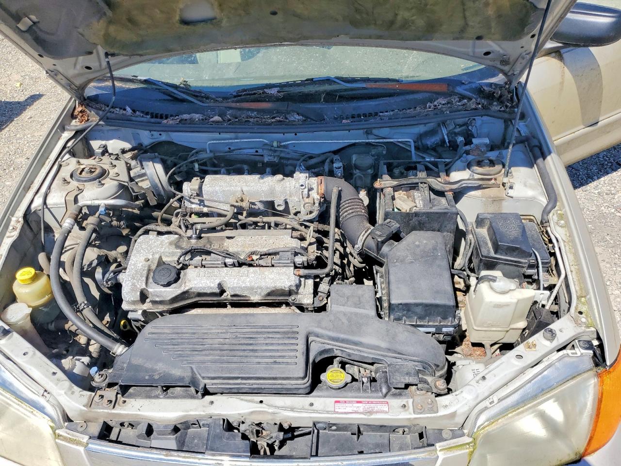 1999 MAZDA PROTEGE