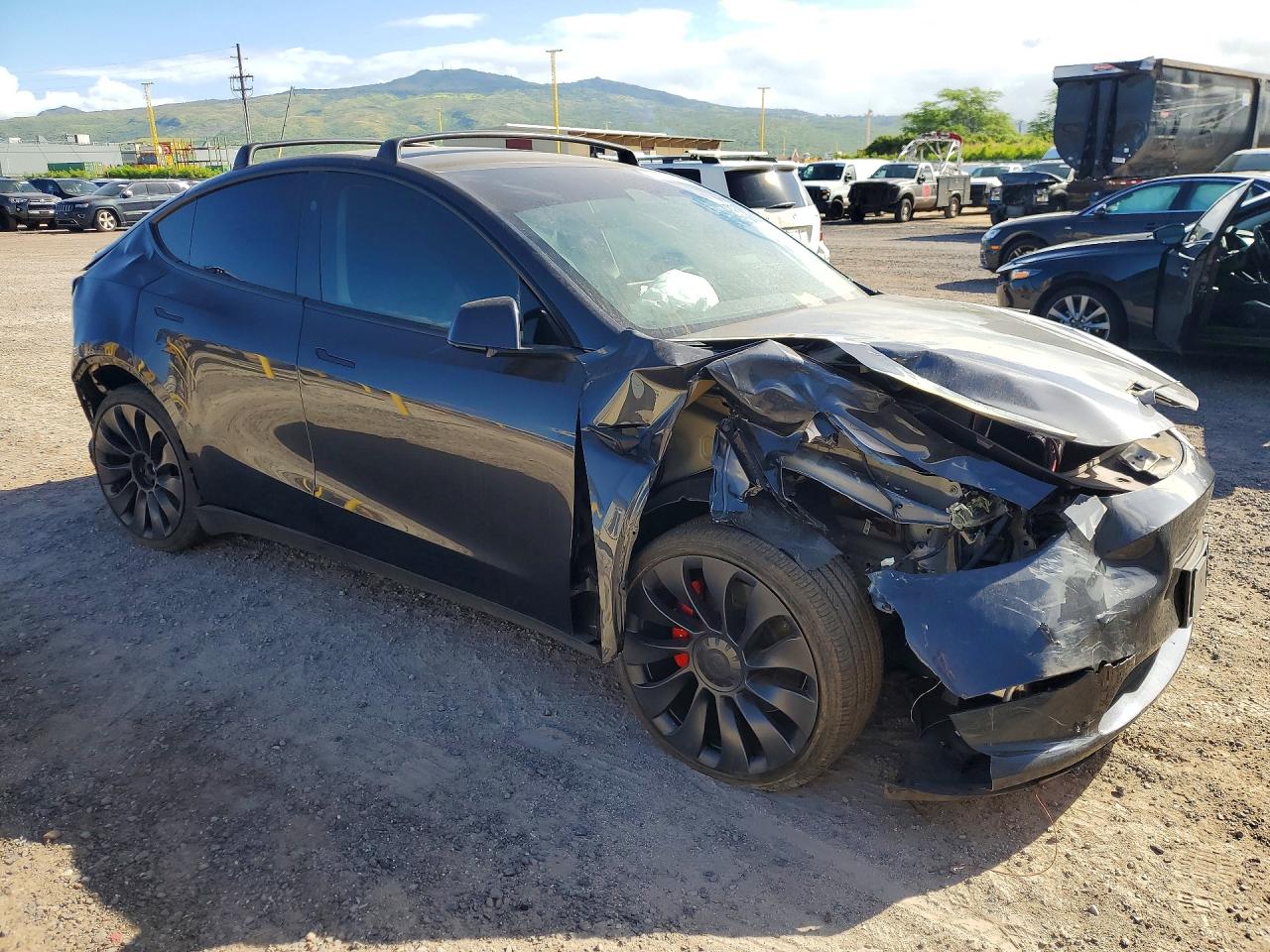 2024 TESLA MODEL Y