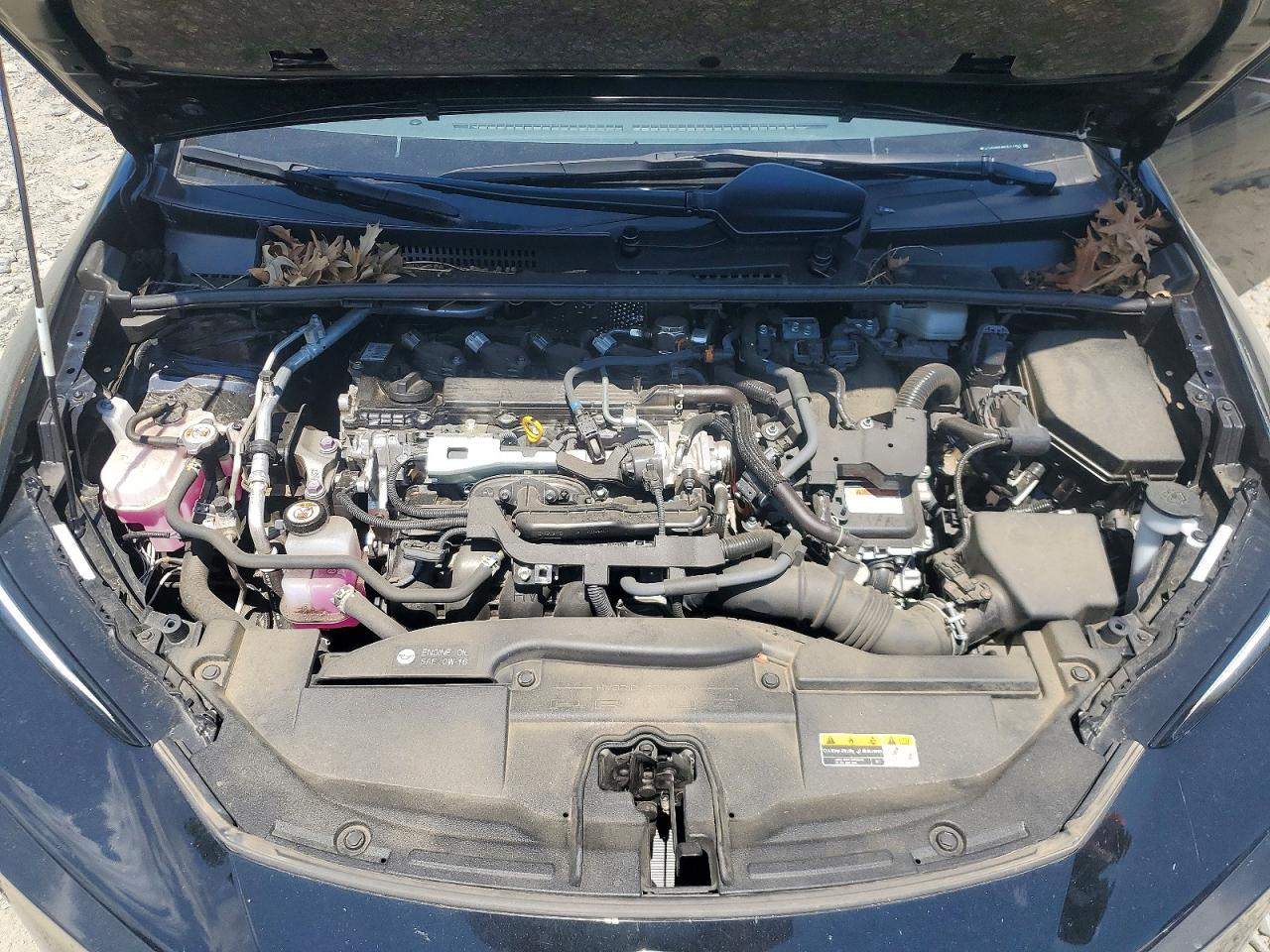 2024 TOYOTA PRIUS