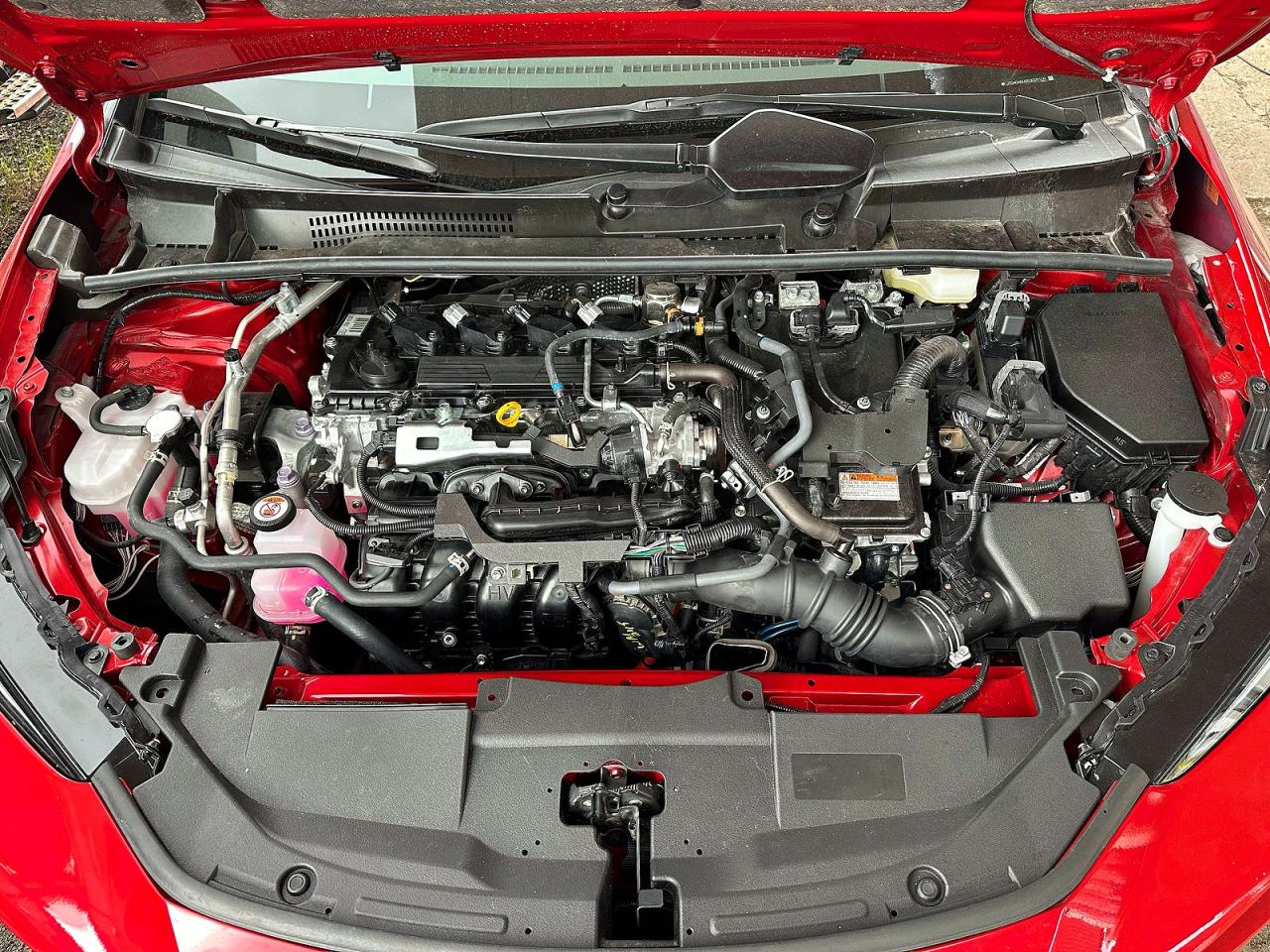 2025 TOYOTA PRIUS