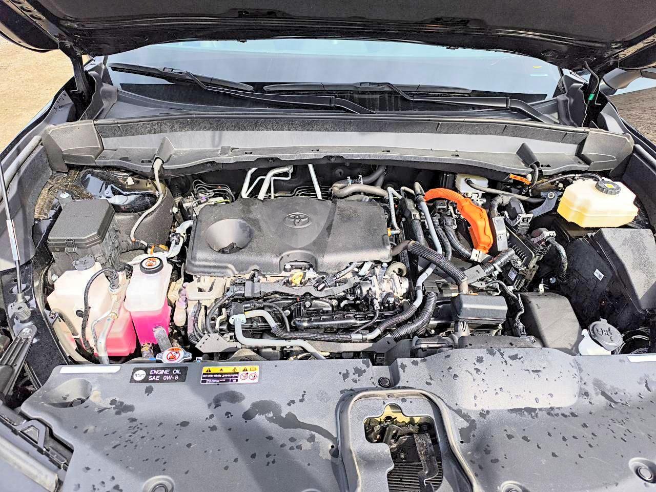 2024 TOYOTA ALL OTHER