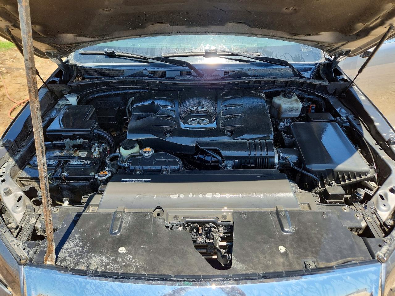2019 INFINITI QX80