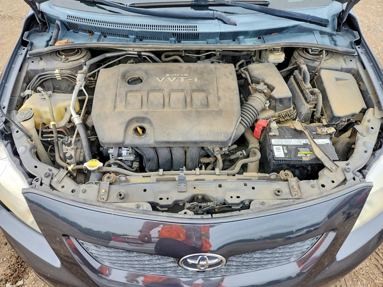2010 TOYOTA COROLLA