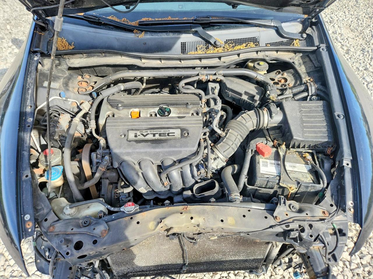 2009 HONDA ACCORD
