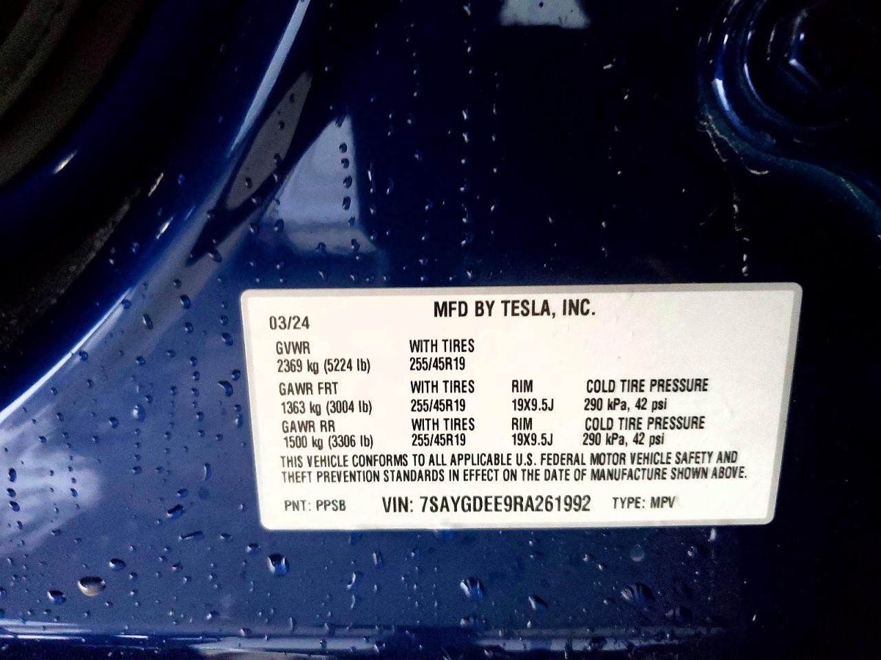 2024 TESLA MODEL Y
