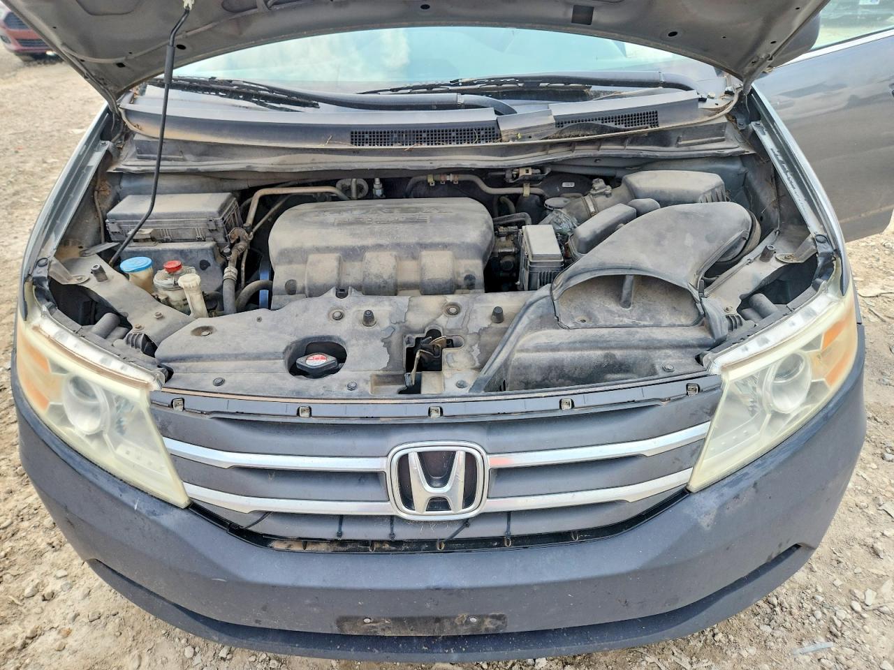 2011 HONDA All Models