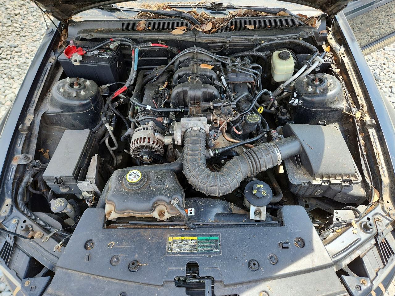 2007 FORD ALL Models