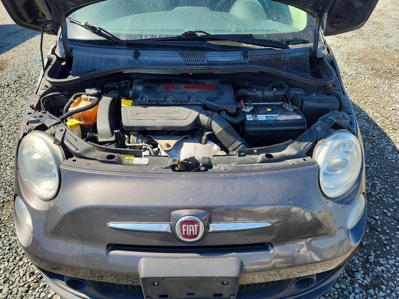 2019 FIAT 500