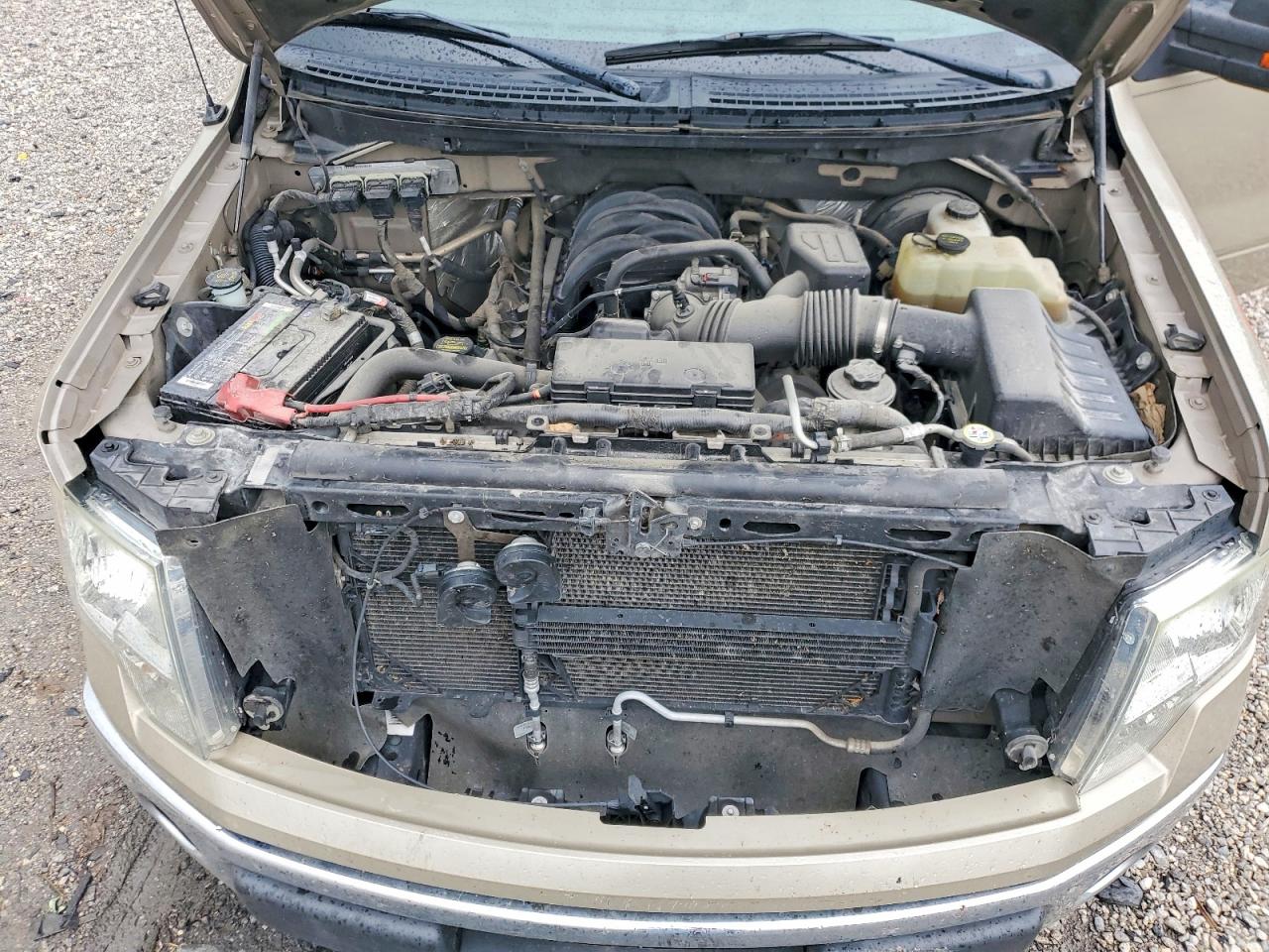 2010 FORD F150