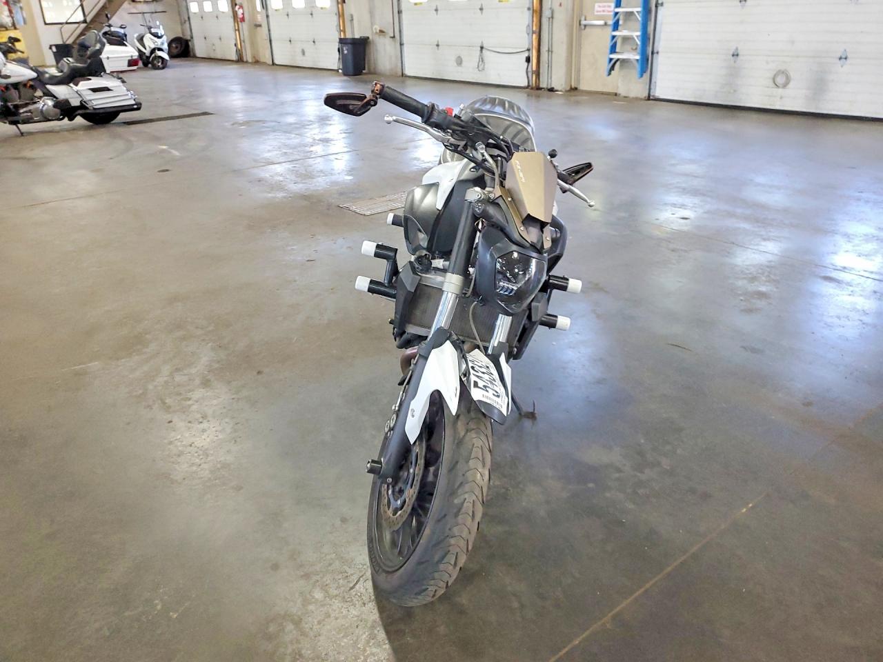 2015 YAMAHA FZ-07/09