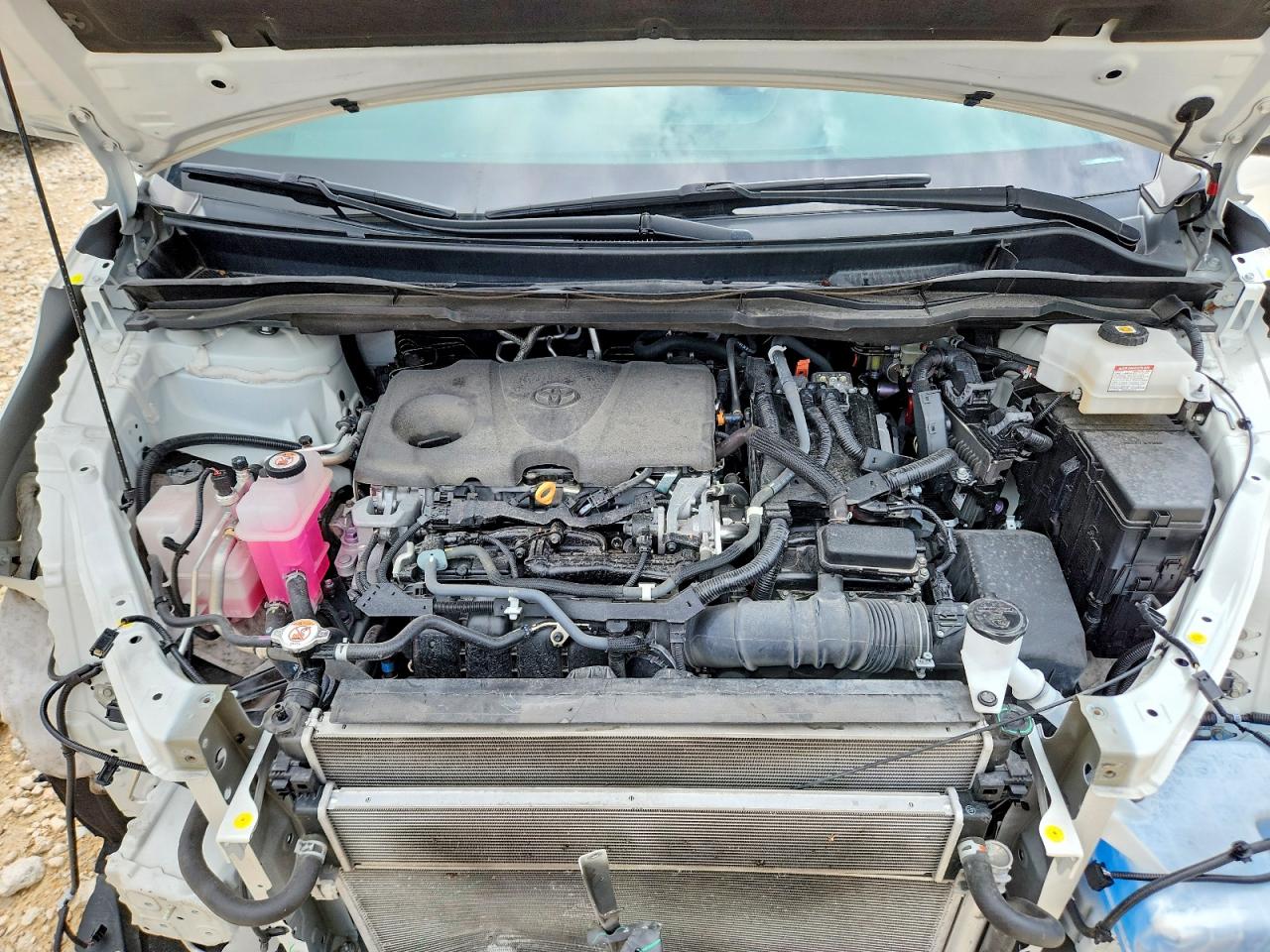2021 TOYOTA All Models