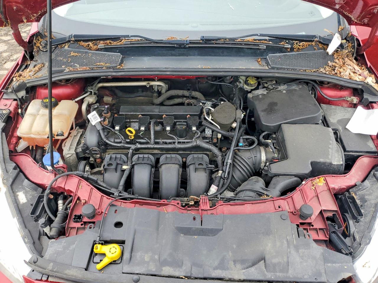 2015 FORD FOCUS