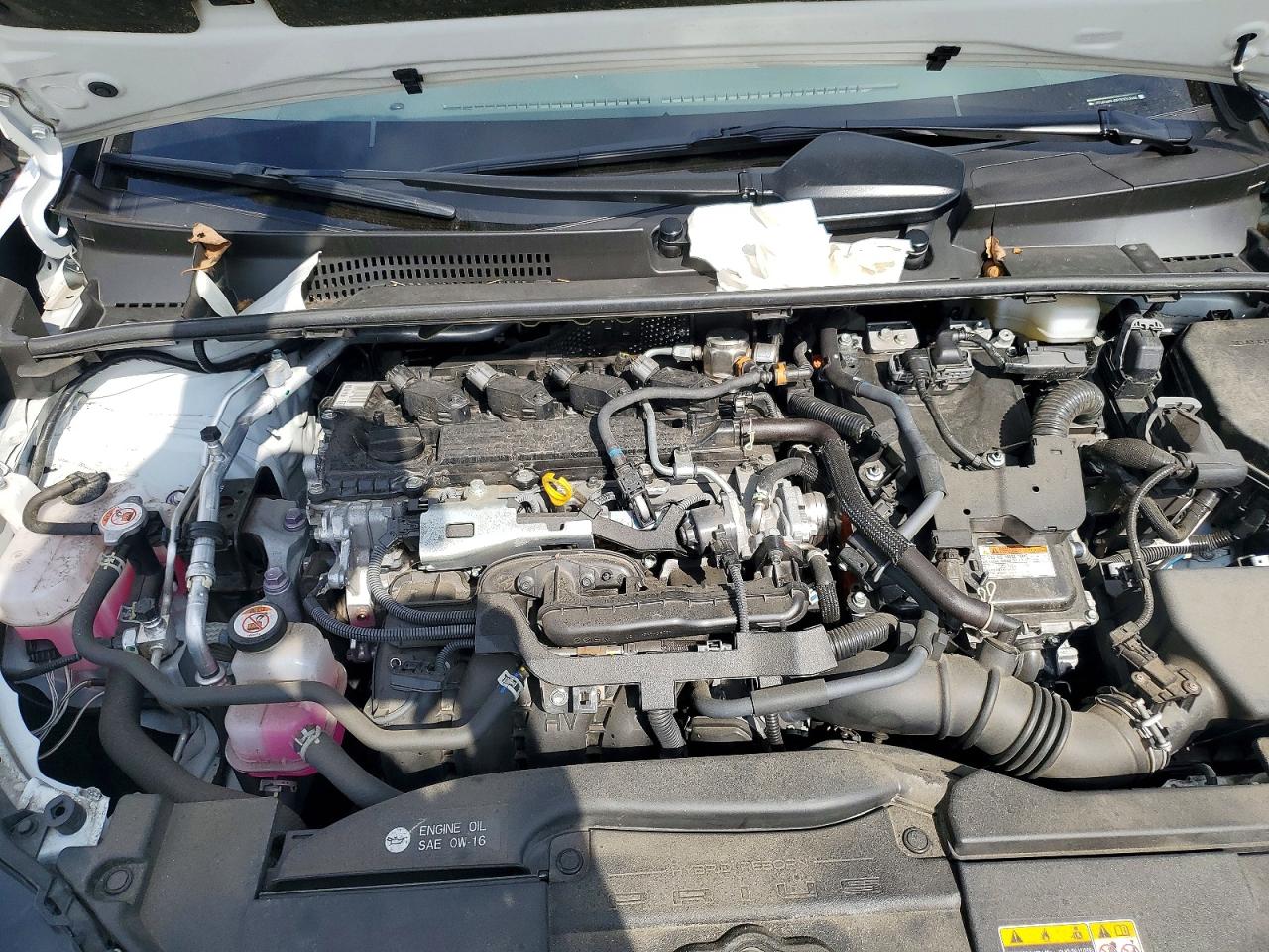 2023 TOYOTA PRIUS