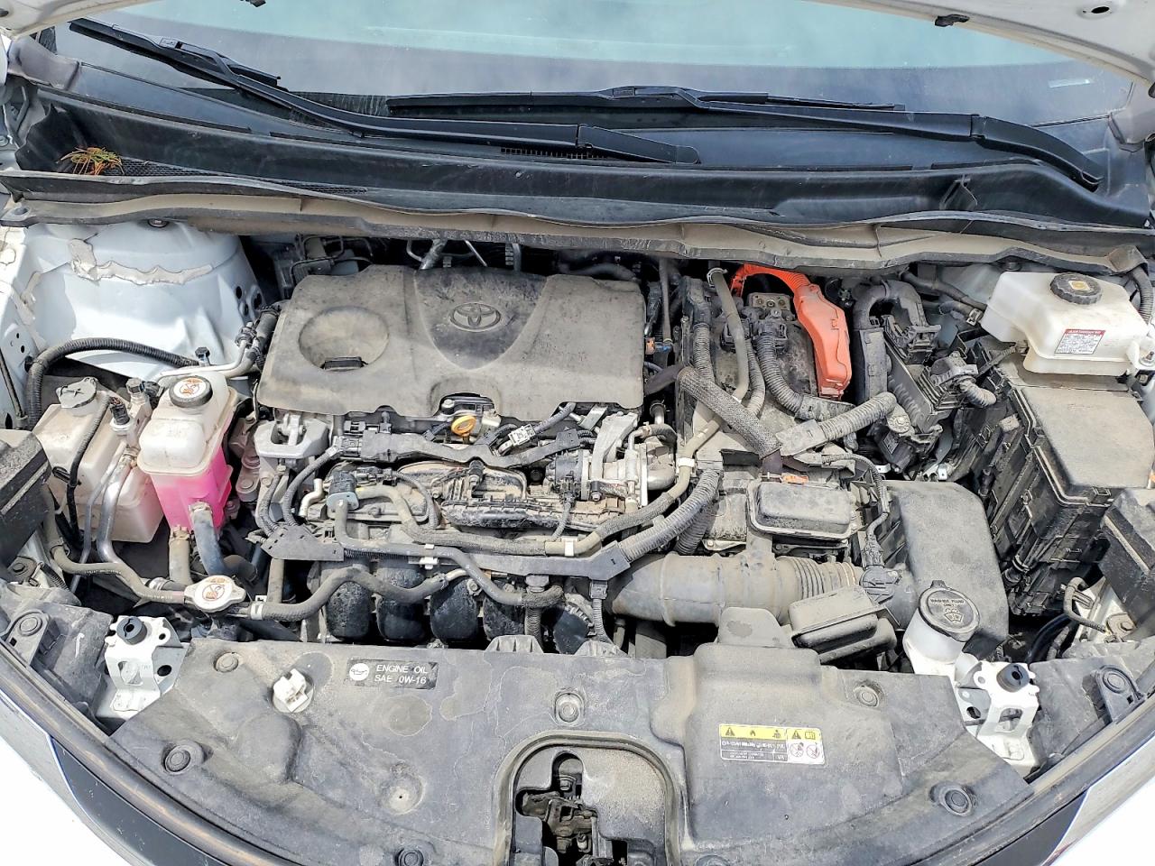 2021 TOYOTA SIENNA
