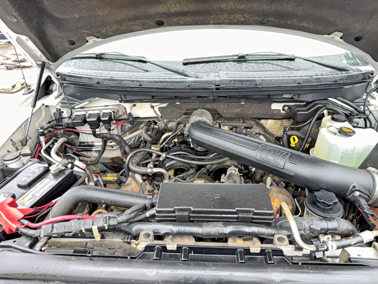 2010 FORD F150