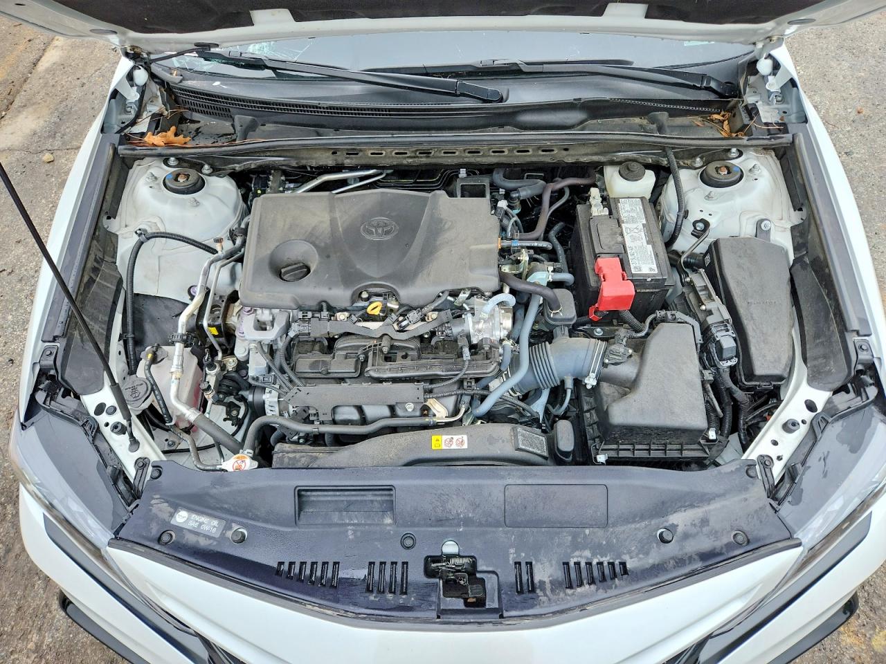 2024 TOYOTA CAMRY