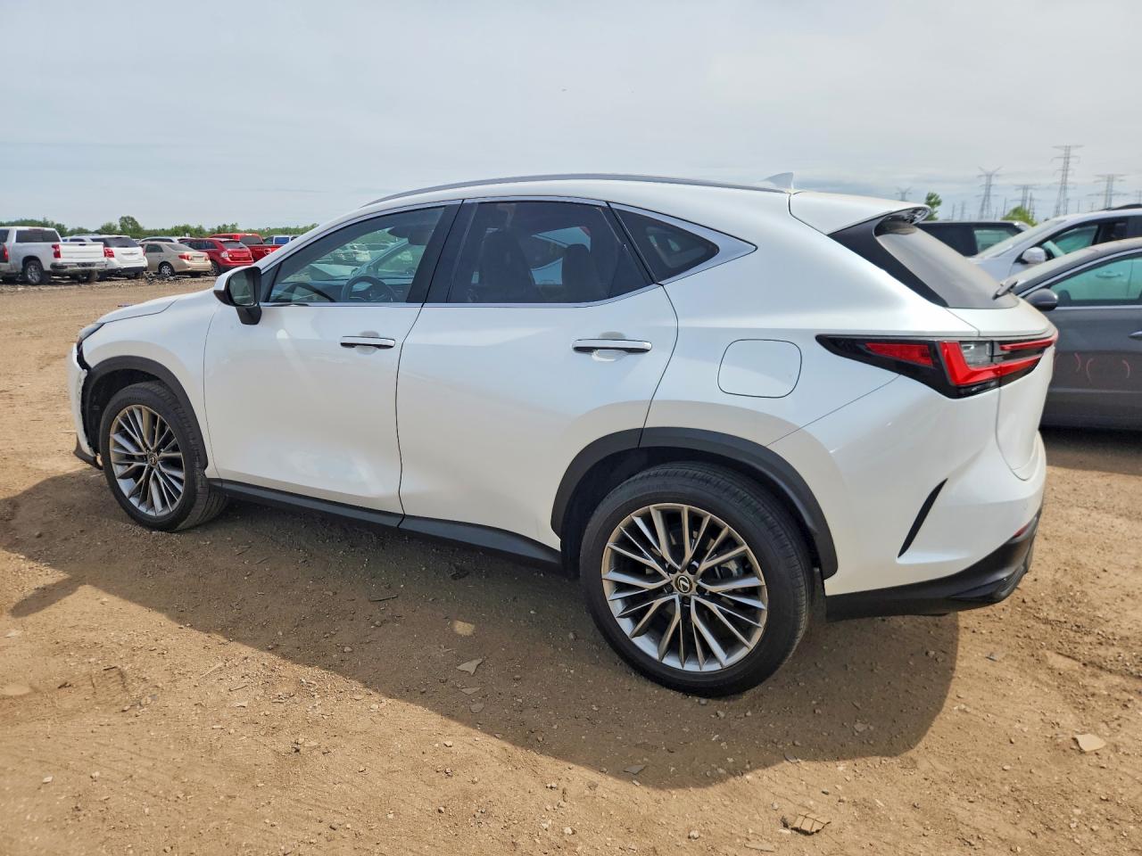 2025 LEXUS NX
