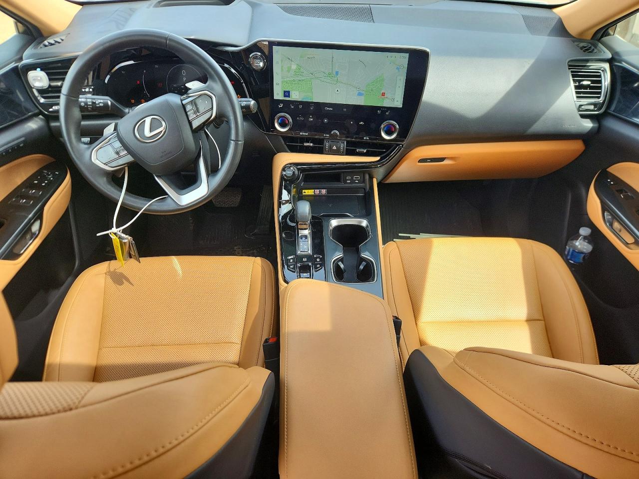 2025 LEXUS NX