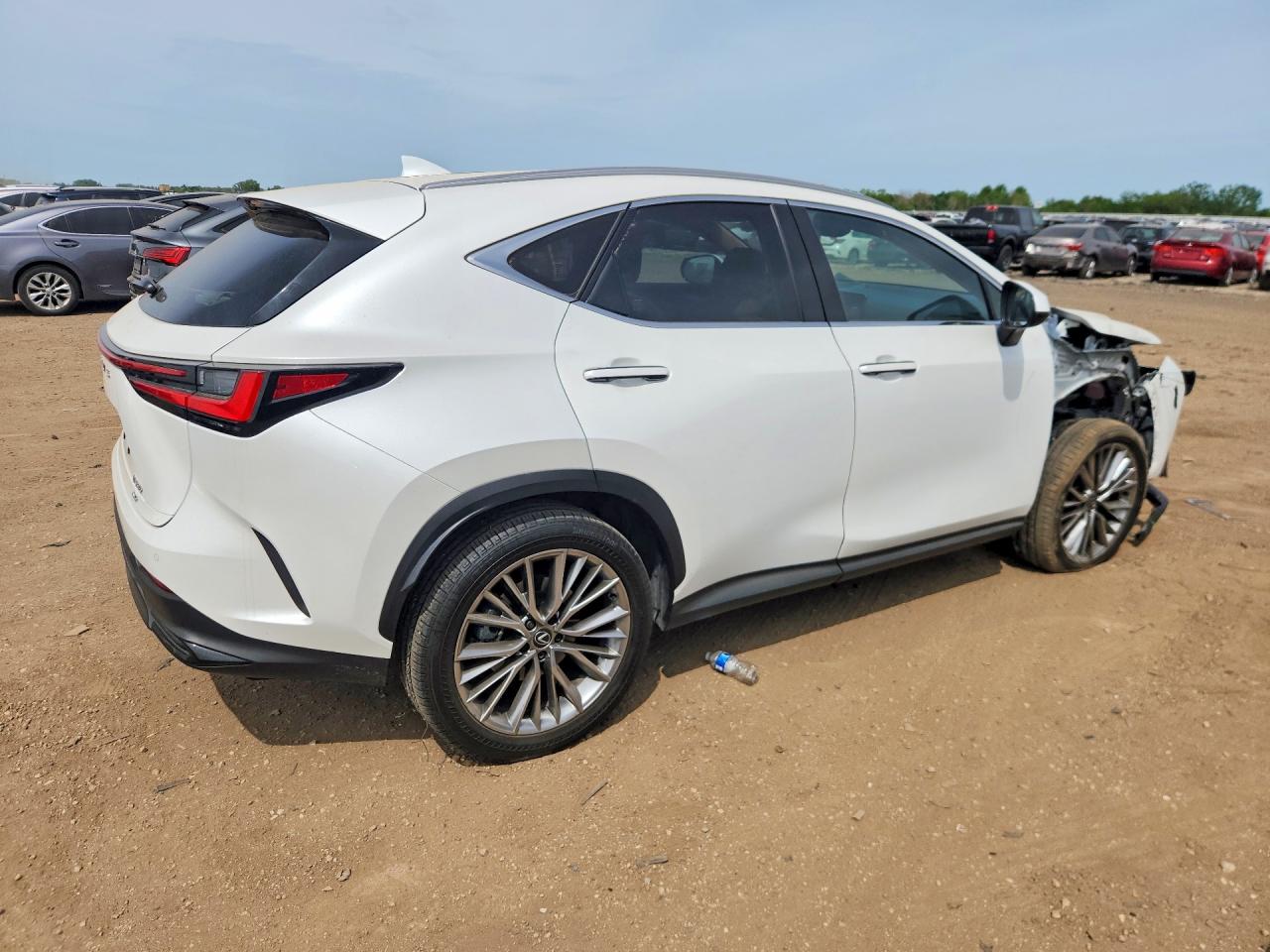 2025 LEXUS NX