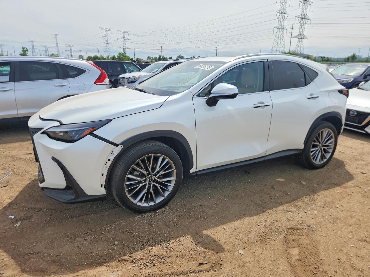 2025 LEXUS NX