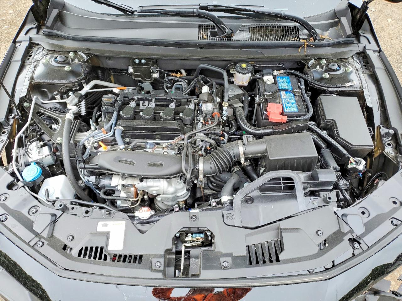2025 HONDA ACCORD