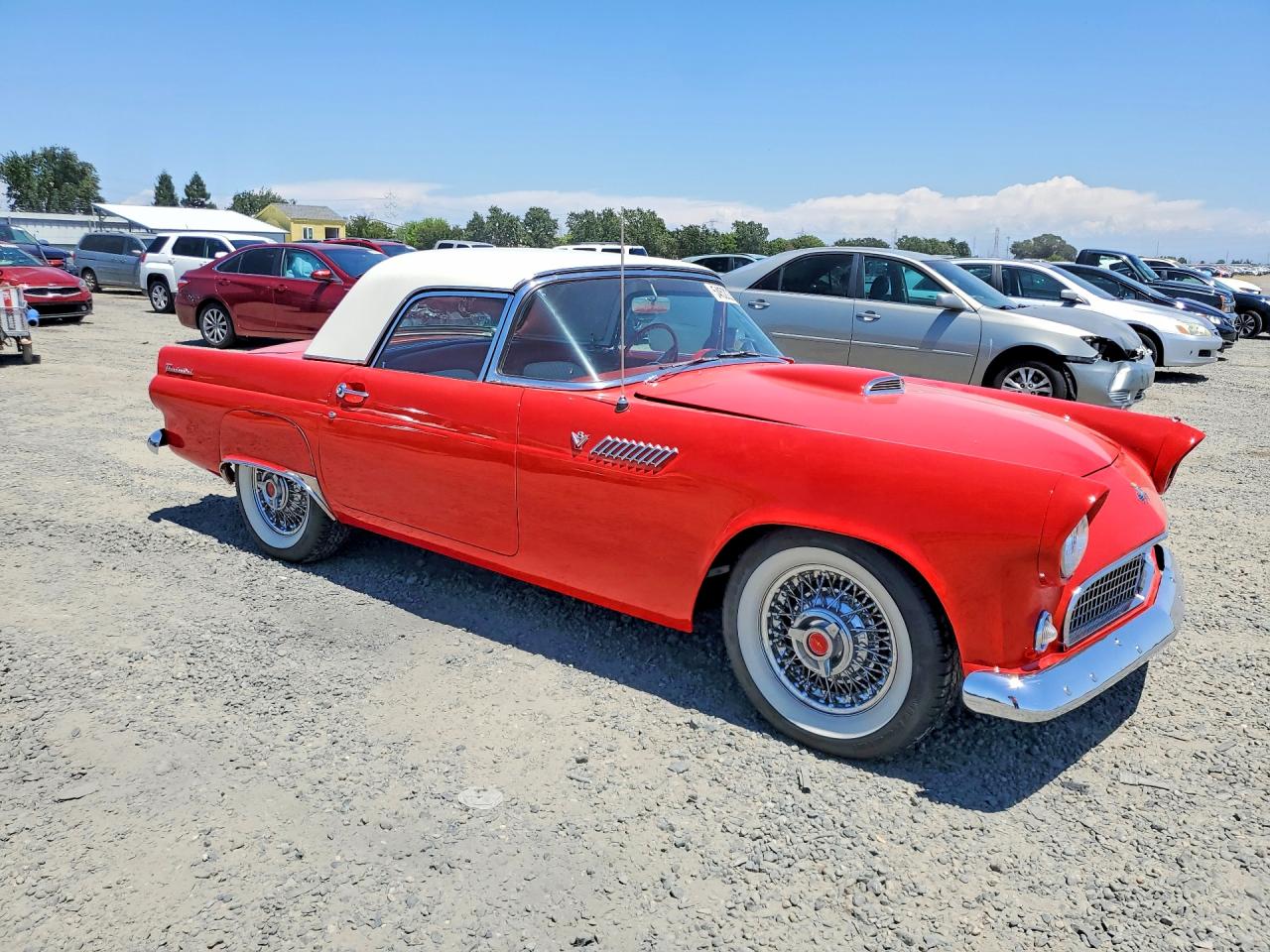 1955 FORD THUNDERBIR