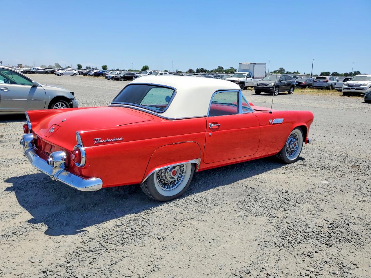 1955 FORD THUNDERBIR