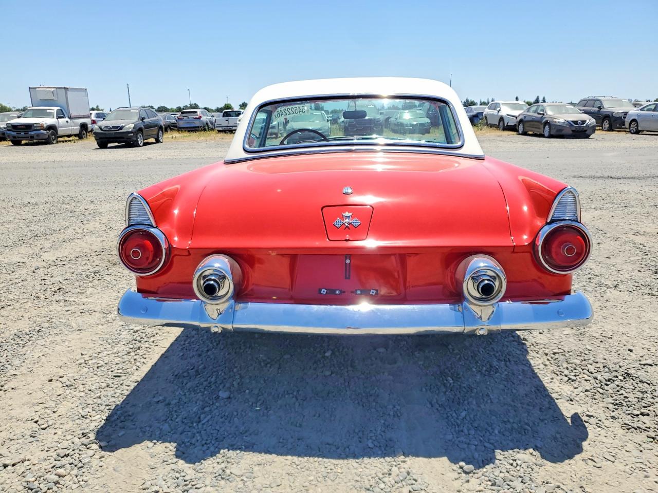 1955 FORD THUNDERBIR