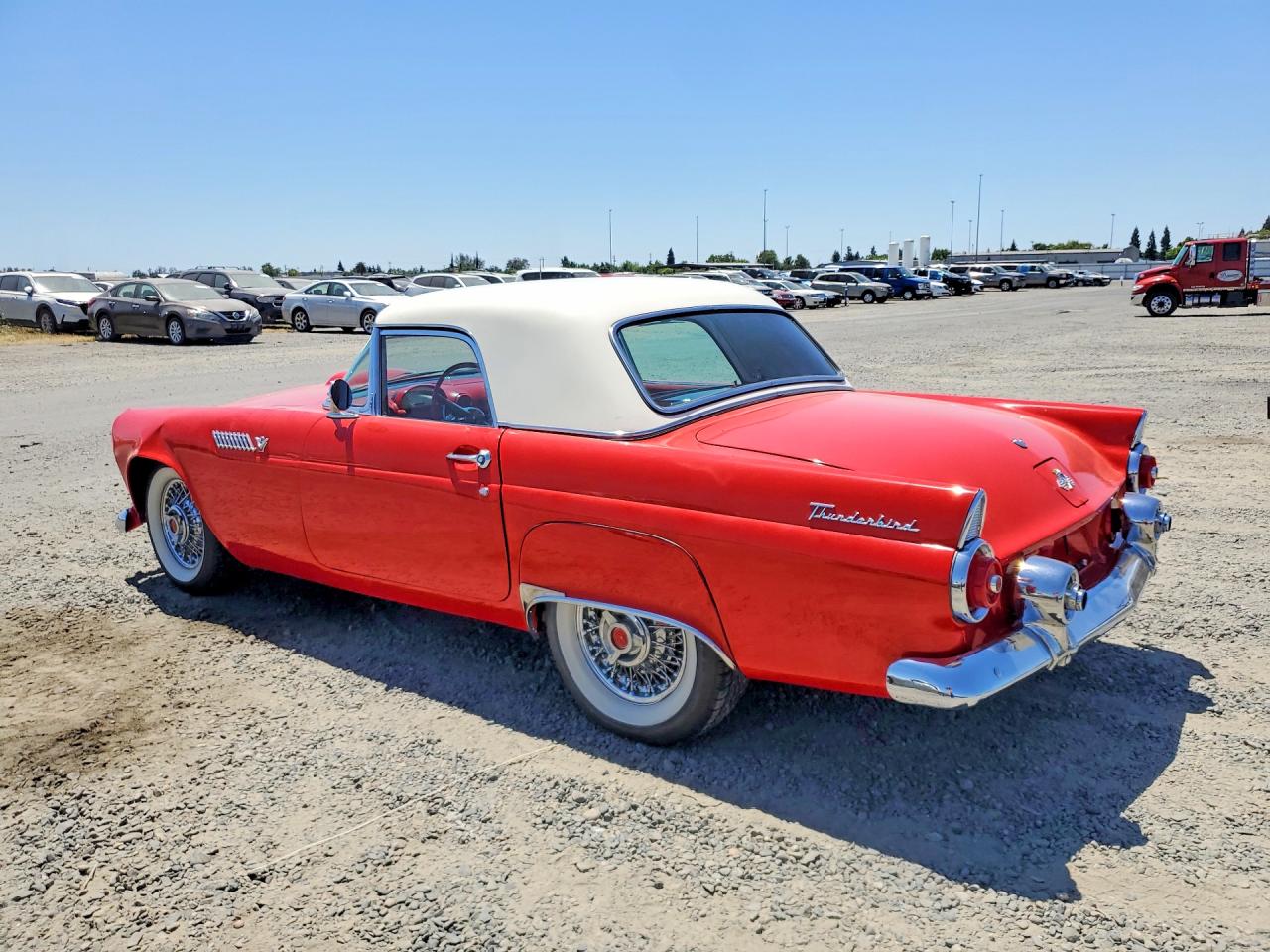 1955 FORD THUNDERBIR