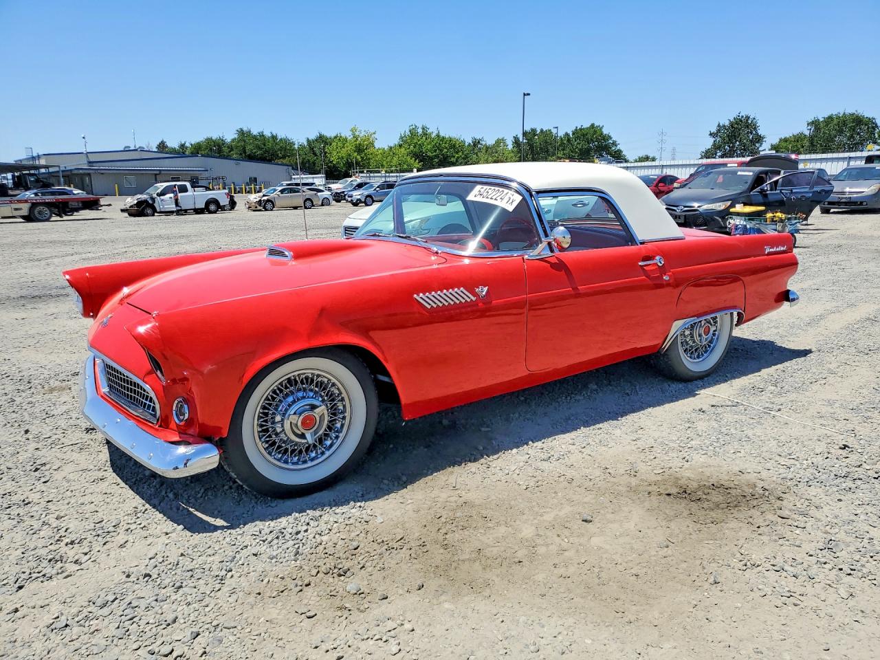 1955 FORD THUNDERBIR