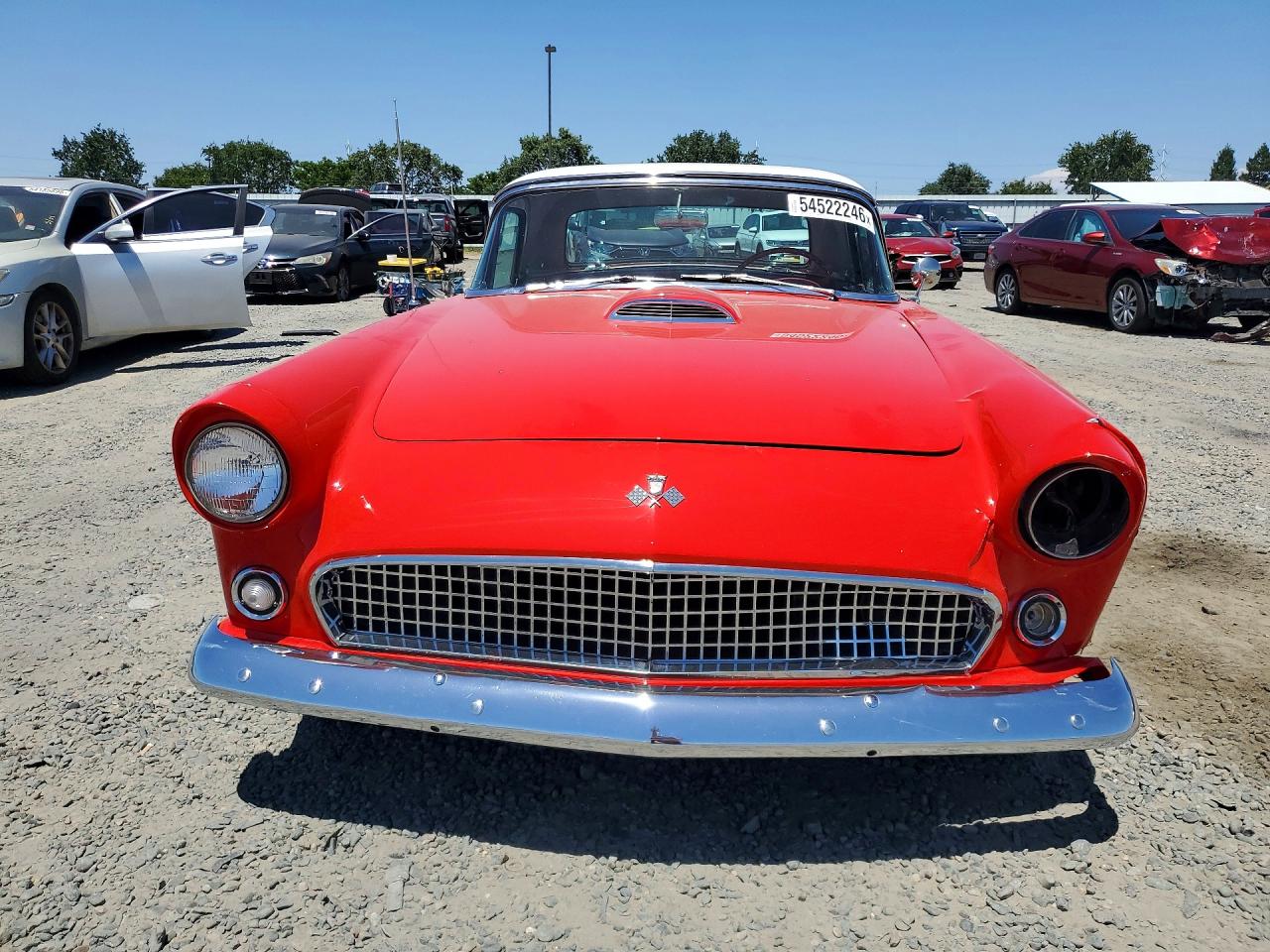 1955 FORD THUNDERBIR