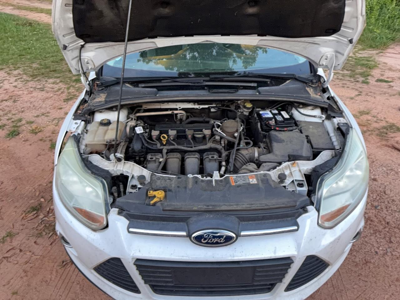 2014 FORD FOCUS