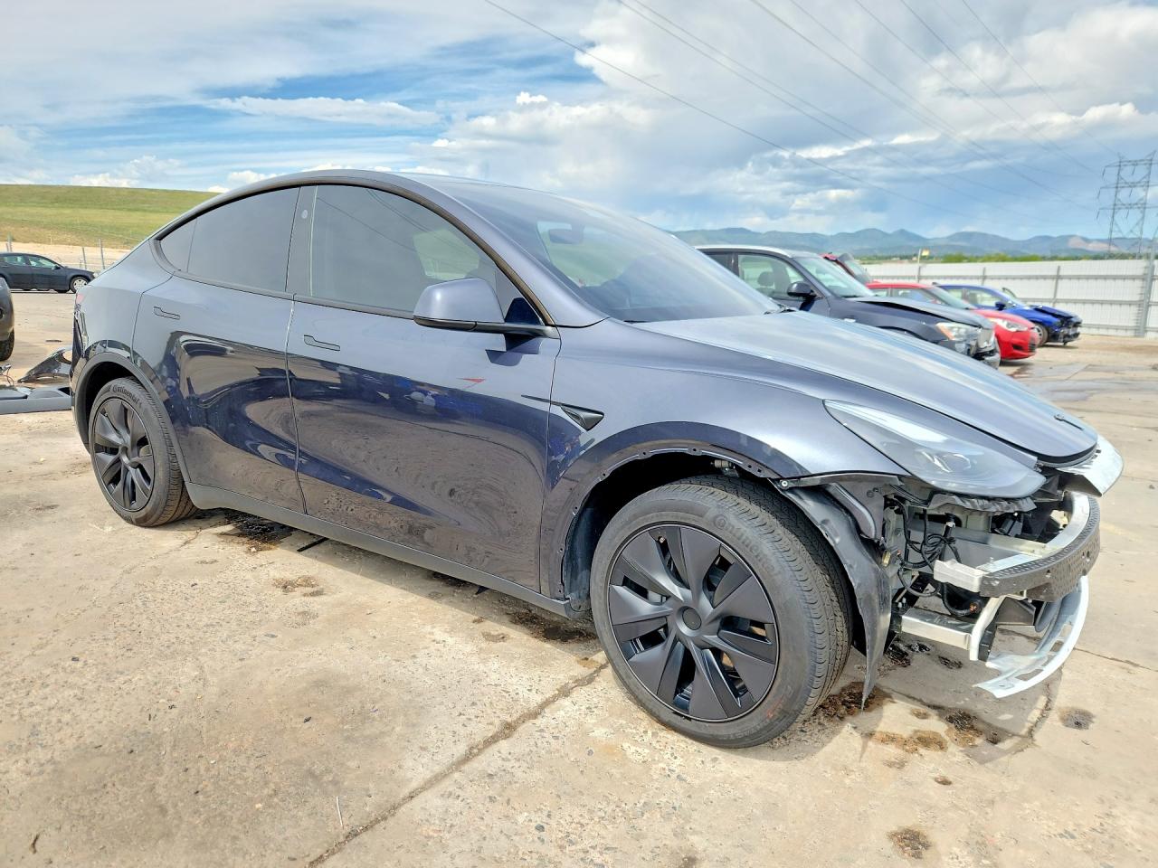 2025 TESLA MODEL Y