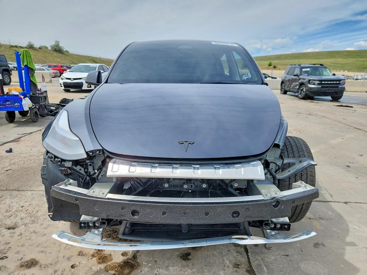 2025 TESLA MODEL Y