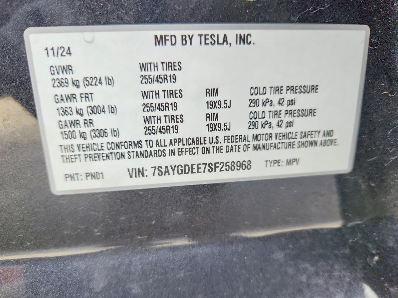 2025 TESLA MODEL Y