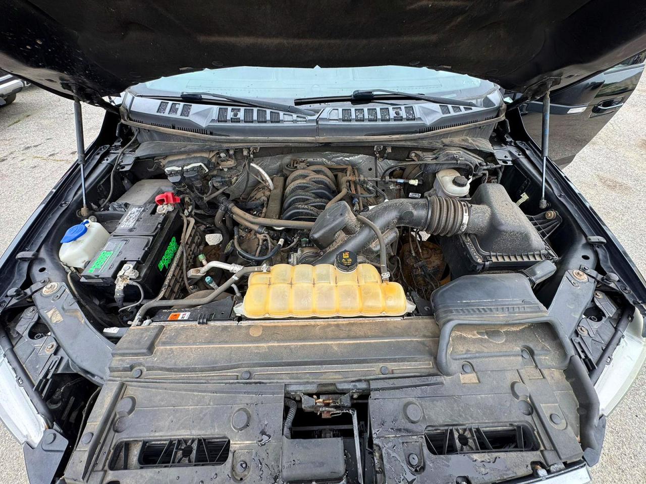 2017 FORD F150