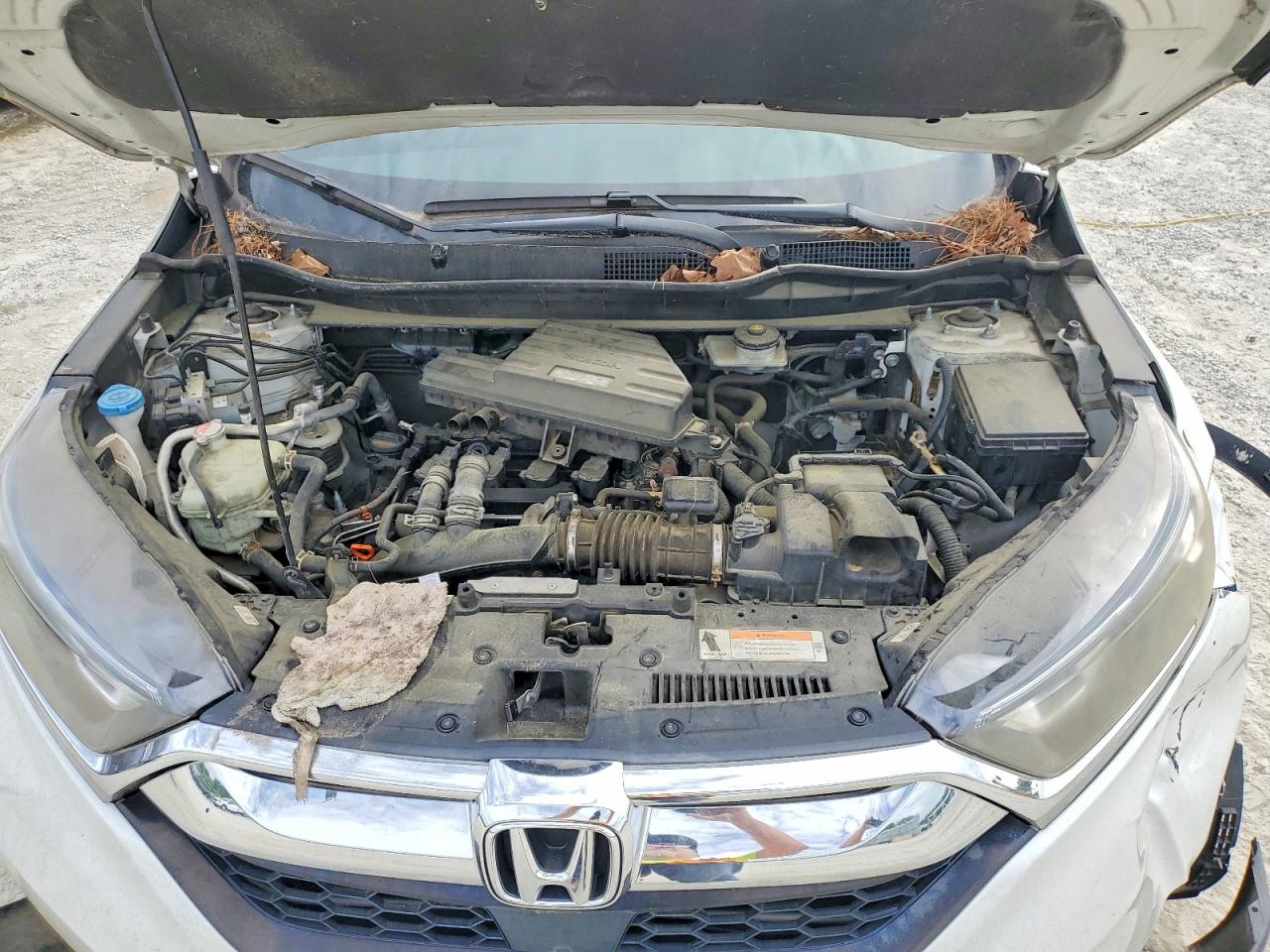 2019 HONDA CRV