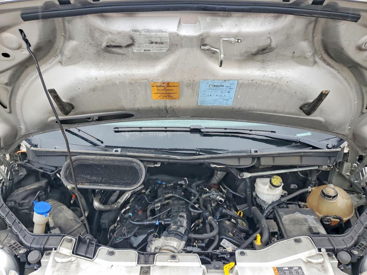 2021 FORD ALL Models