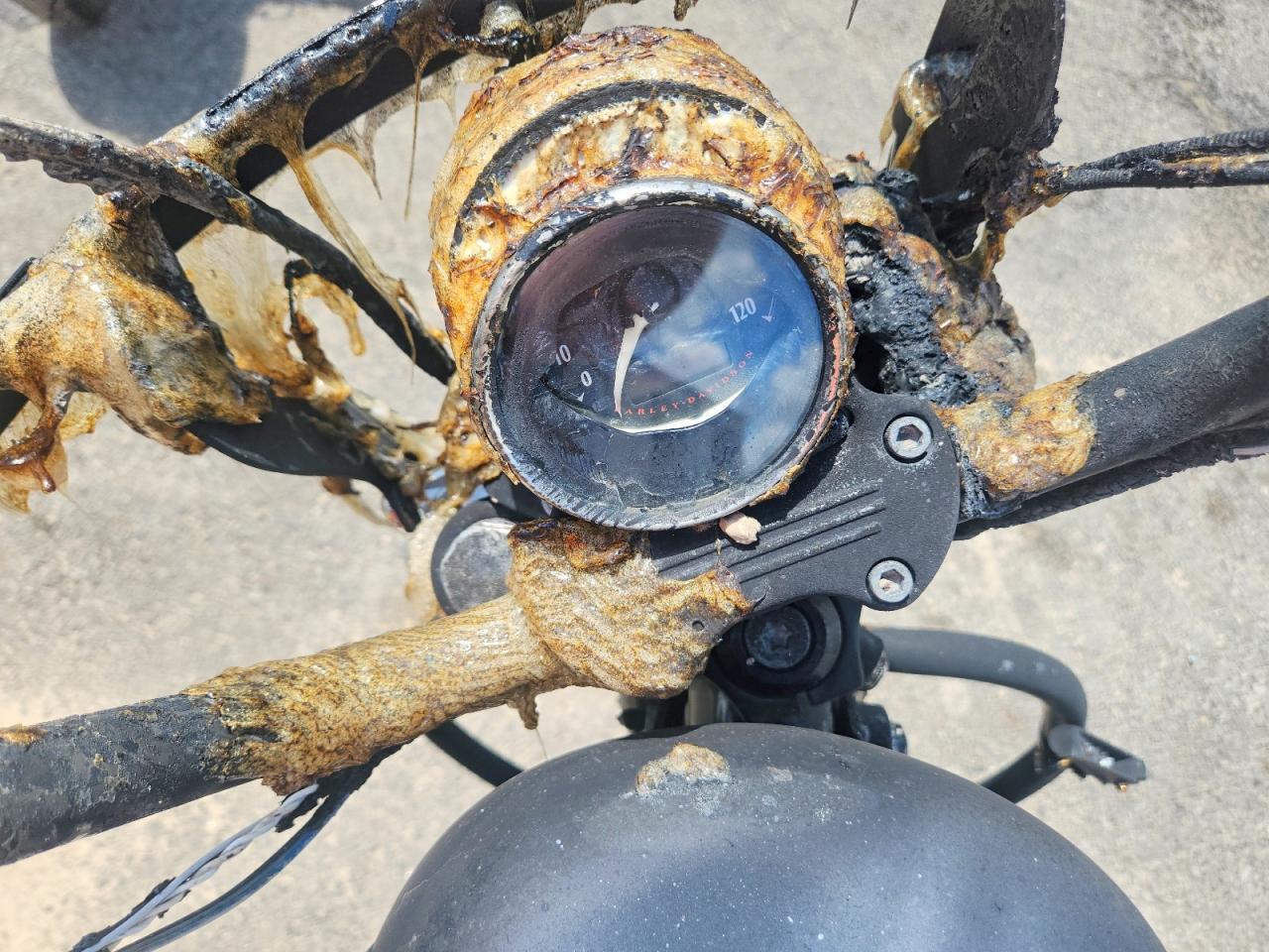 2021 HARLEY-DAVIDSON SPRTSTR120