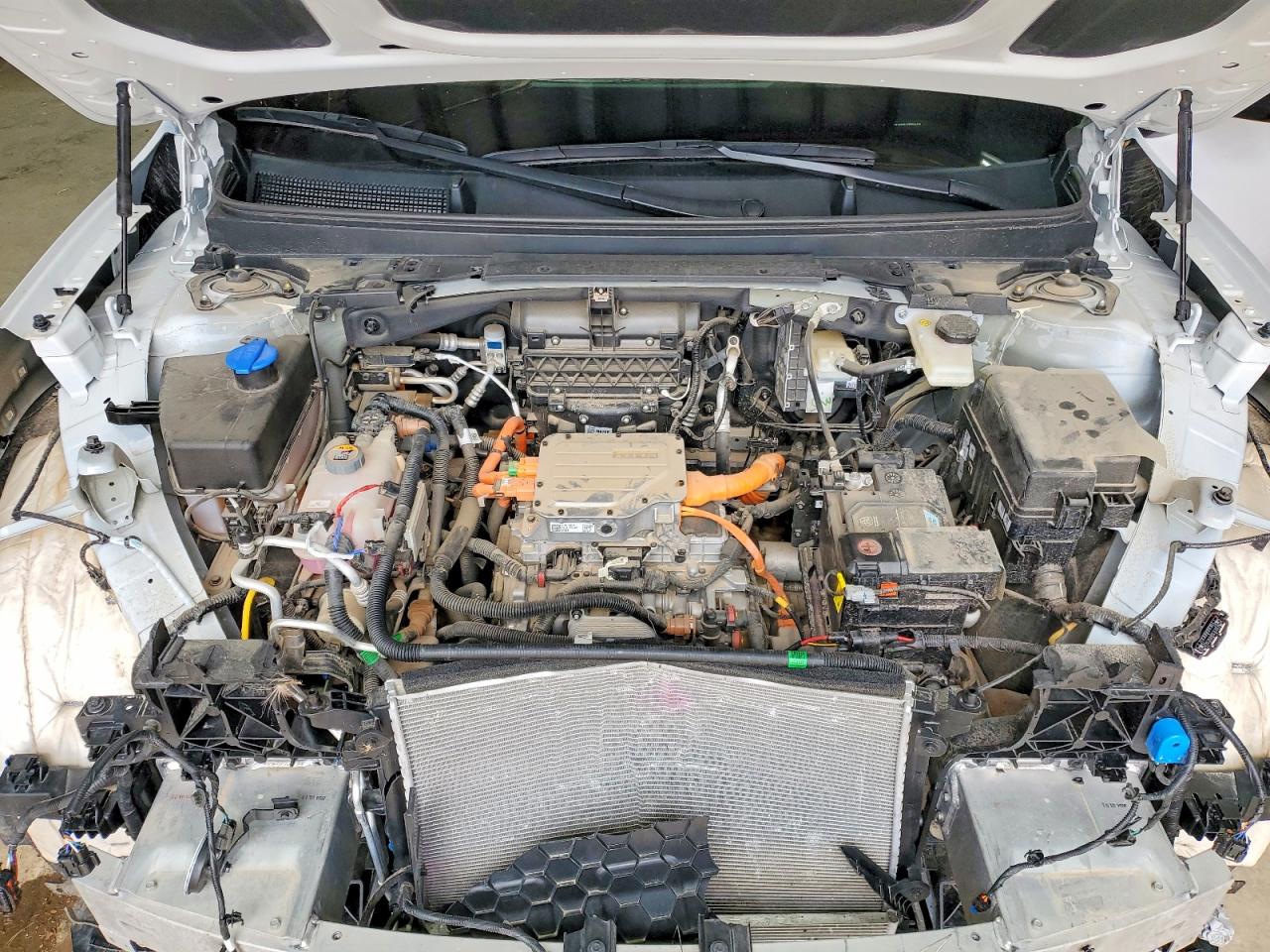 2026 KIA ALL OTHER