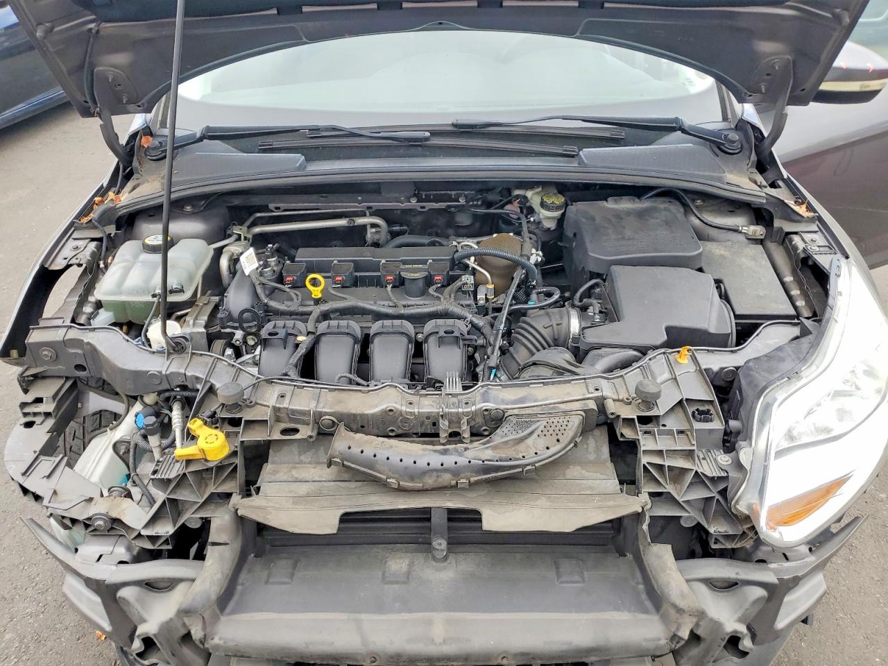 2013 FORD FOCUS