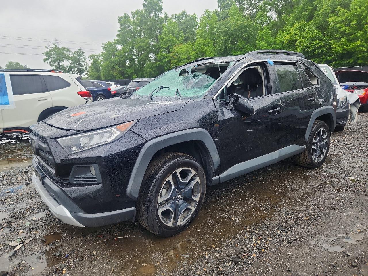2019 TOYOTA RAV4