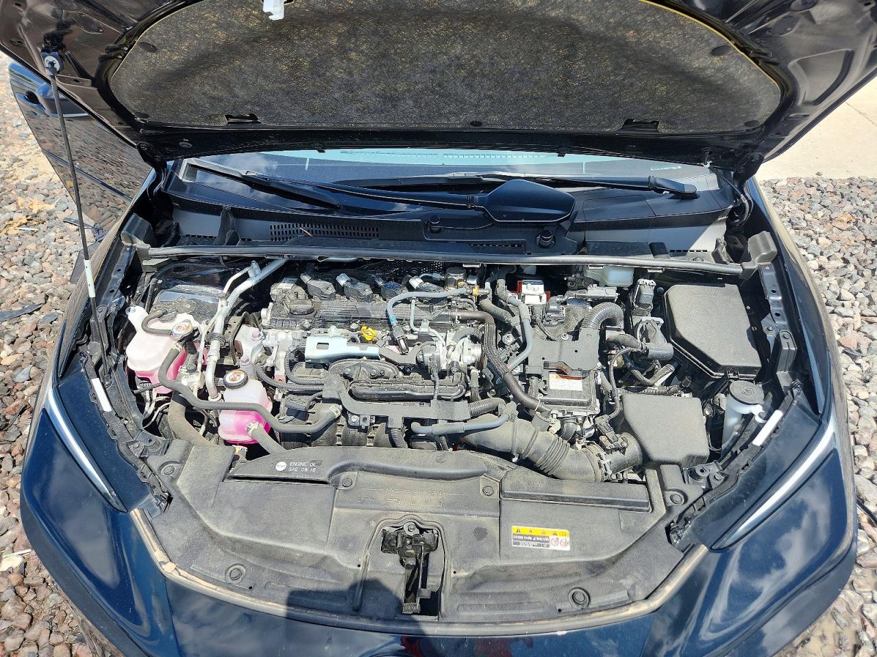 2025 TOYOTA PRIUS