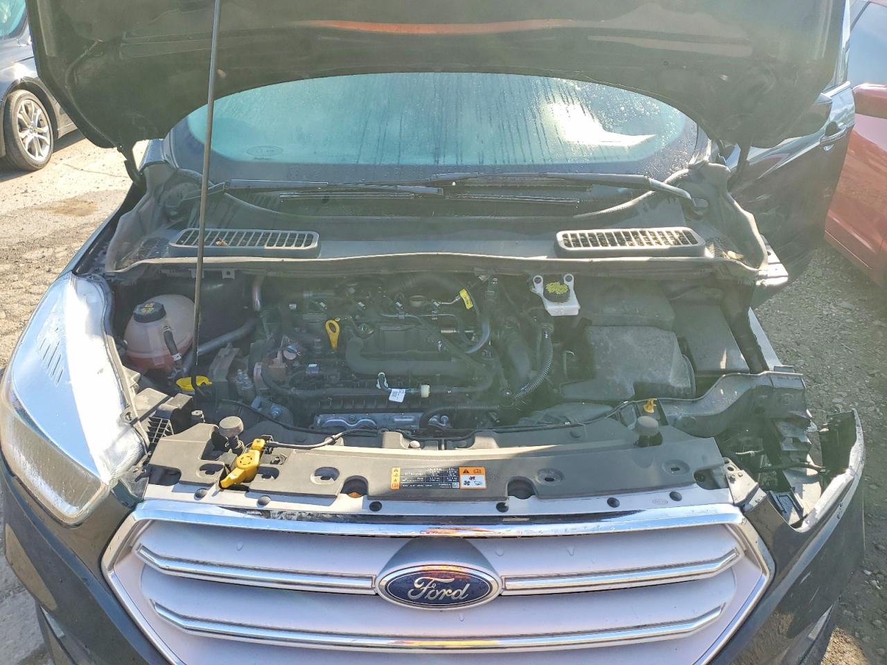 2019 FORD ESCAPE