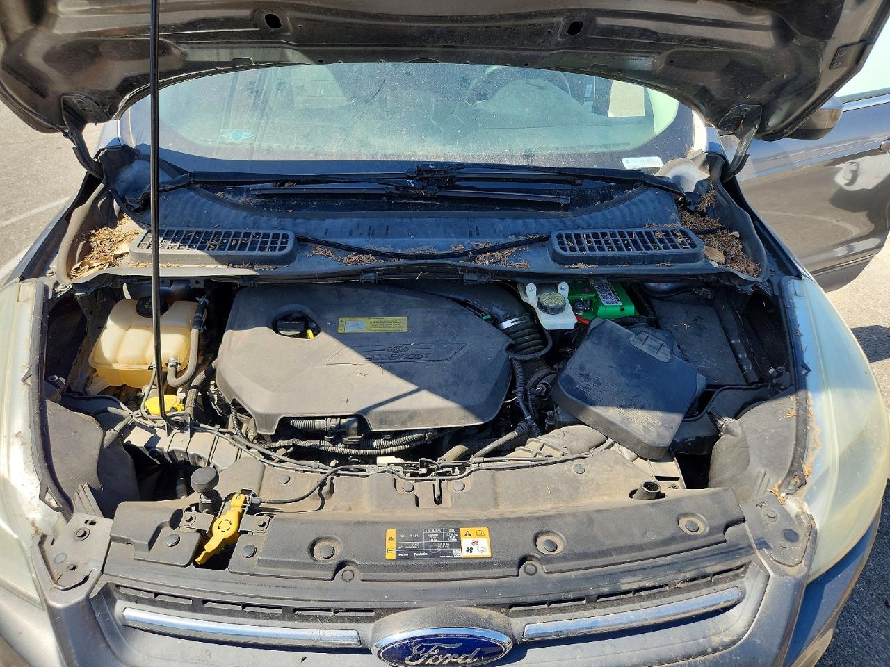 2014 FORD ESCAPE