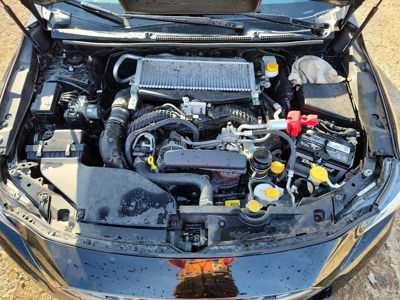 2023 SUBARU WRX
