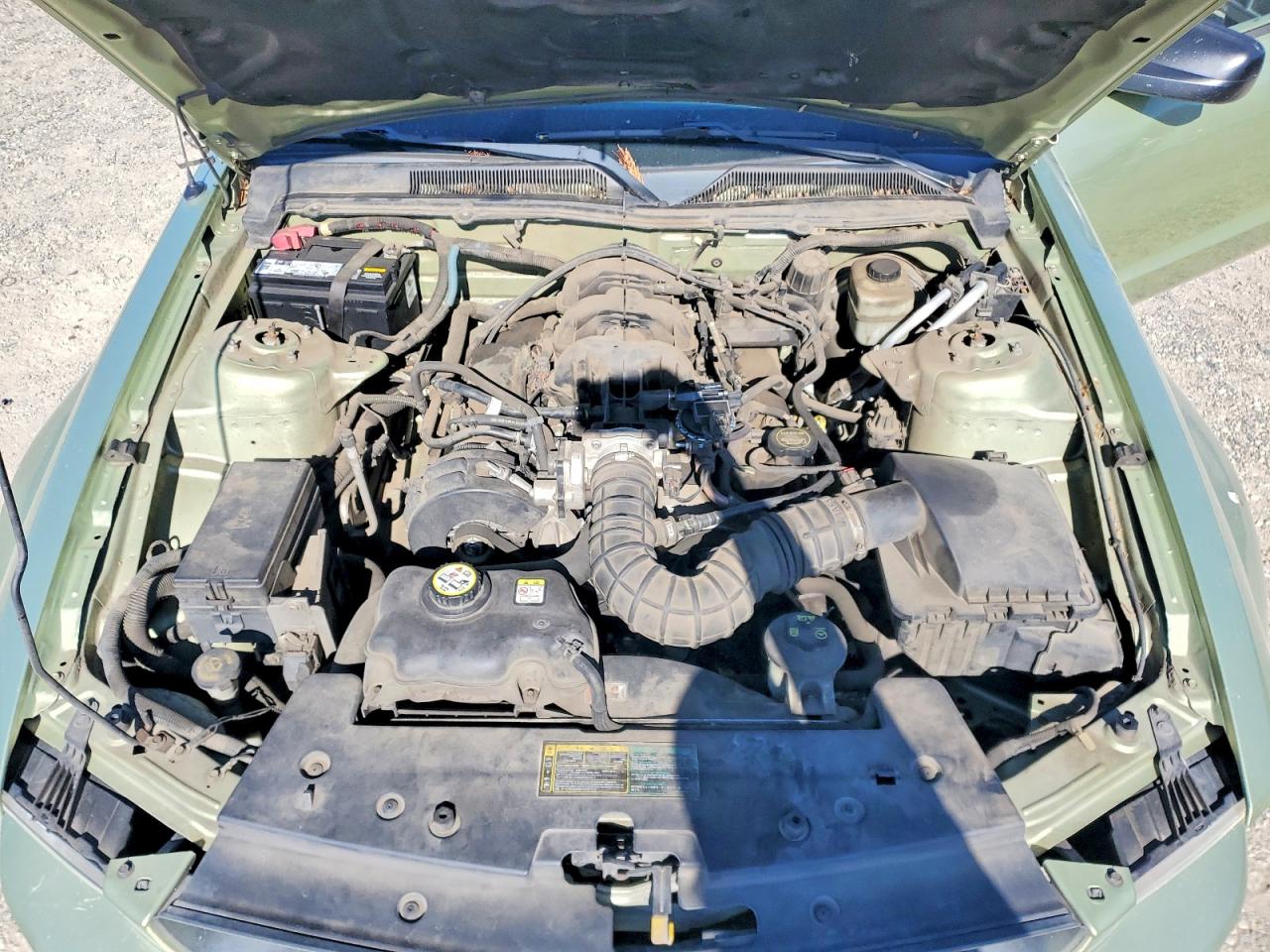 2005 FORD MUSTANG