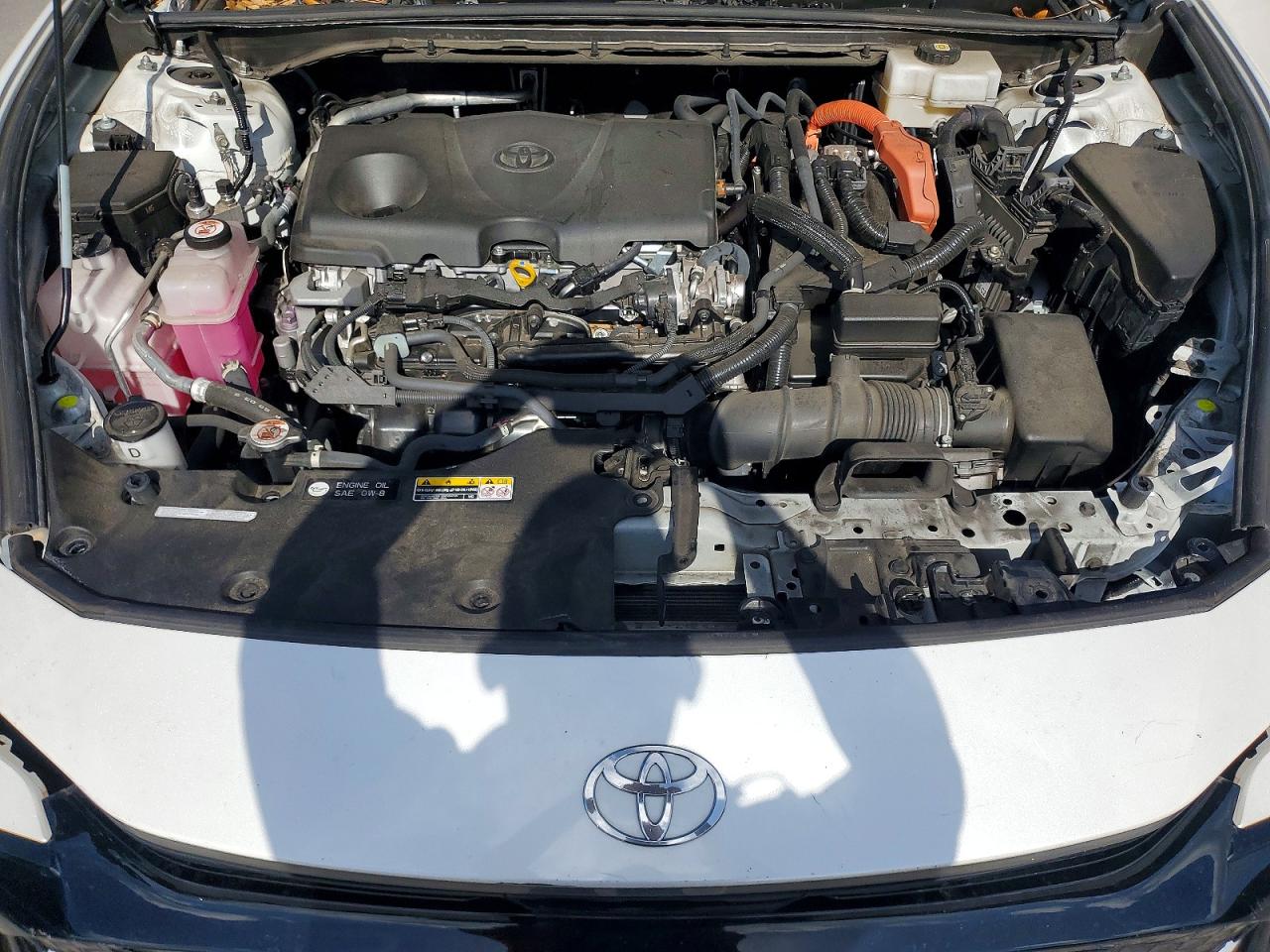 2023 TOYOTA ALL OTHER