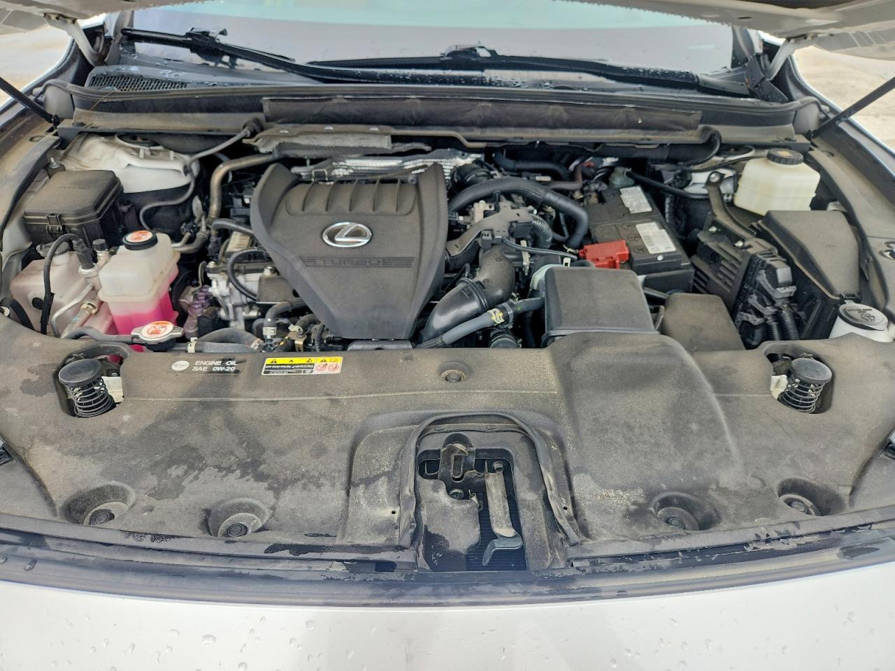2023 LEXUS RX350